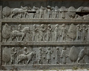 Undergivna folk ger gåvor till Darius I. Reliefer av den östra trappan i Apadana, 600-talet f.Kr.