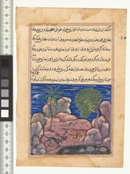 Saga XV, Katten attackerar mössen som stör lejonet, illustration från "Tuti-Nama", ca. 1560. Indien, Mughal, Akbars regeringstid, 1500-talet