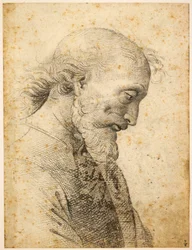 Byst av en man, 1500-1503.