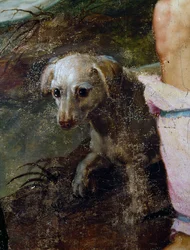 Hund, detalj från Nativity, målning av Pieter Candid eller Pieter de Witte (ca 1548-1628), Nederländerna
