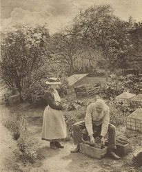 En trädgårdsända. [Suffolk.]