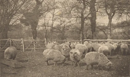 En höstpastoral