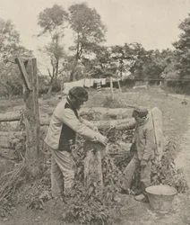 På Grindstone--A Suffolk Farmyard