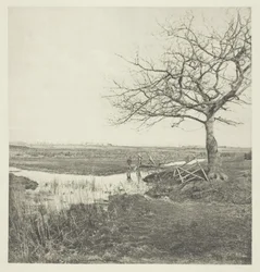 Leafless March (Suffolk)