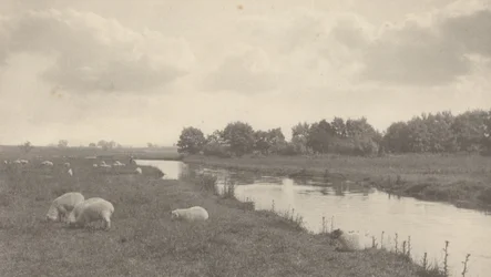 På floden Bure,1886 (foto)