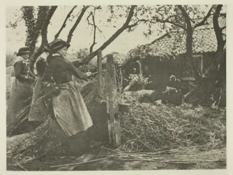 Osier-Peeling (Norfolk)