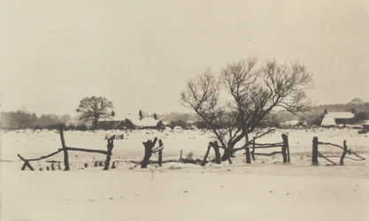 De snöiga myrmarkerna