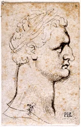 Domitianus, från tio teckningar av åtta av de första tolv Caesarerna, efter Giovanni da Cavinos medaljer (penna och bläck på papper)