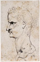 Gaius Caligula, från tio teckningar av åtta av de första tolv Caesarerna, efter Giovanni da Cavinos medaljer (penna och bläck på papper)