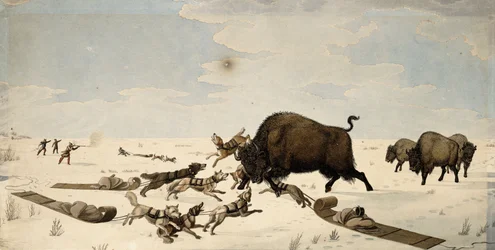 Buffalo Hunt, ca 1822-1824