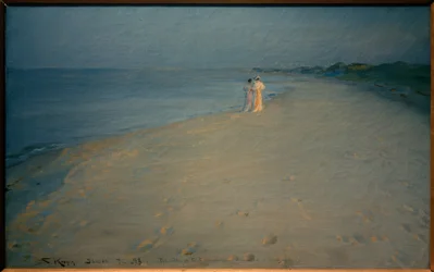 Sommarkväll på Söderstranden, Skagen