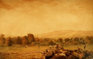 Cricketspelarna