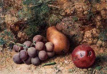 Vindruvor, äpple och päron på en mossig bank (akvarell och gouache på papper)