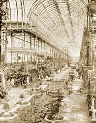 Det inre av långhuset taget från galleriet ovanför Drottningskärmen i södra änden ca 1859 (s/v foto)