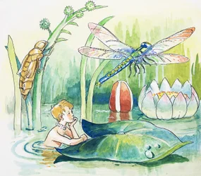 Trollslända, illustration från "The Water Babies" av Charles Kingsley