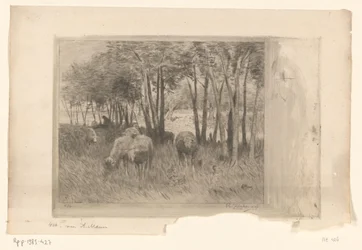 Flock av får och herde på en äng med träd Moutons (originaltitel)