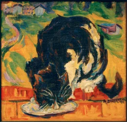 Äter katt