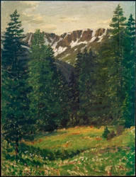 Skogslandskap, (landskap)