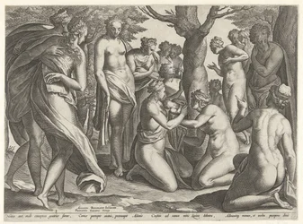 Adonis födelse The Story of Adonis (serietitel)