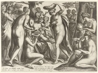 Utbildning av Adonis The Story of Adonis (serietitel)