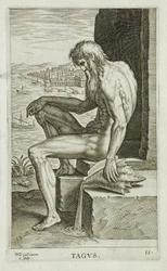 Tejo