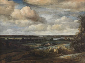 Holländskt panoramalandskap med en avlägsen utsikt över Haarlem