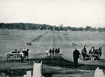 Undervisning i sådd med såmaskin och vältning vid Dookie Agricultural College, Victoria, omkring 1900, ur 