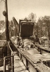 Snabblastande skena monterad kanon (s/v foto)