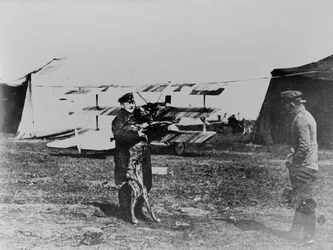 Den röda baronen och hans hund (s/v foto)