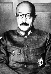 Hidetojo (s/v p het)