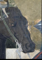 Legenden om det sanna korset, Konstantins seger i slaget vid Milvian Bridge, detalj av hästens huvud, färdig 1464 fresk se även 116343