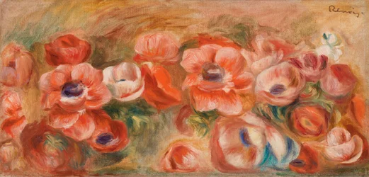 Anemoner (Anemoner)