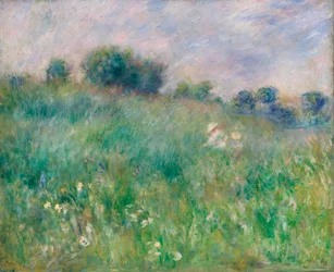 Meadow (La Prairie)