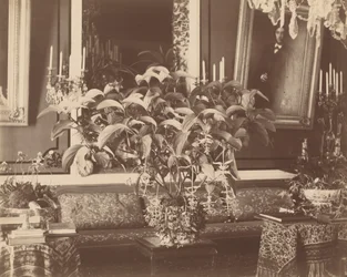 Interiör,1860-tal (foto)