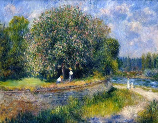 Blommande kastanjeträd