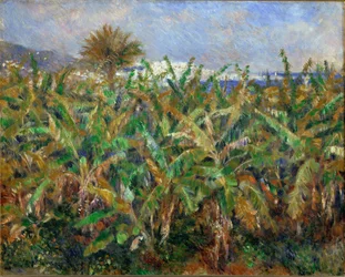 Champs de Bananiers - Bananfält (oljemålning)