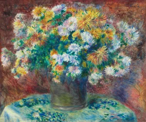 Krysantemum