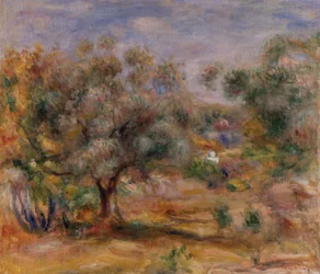Olivträd i Les Collettes, ca 1910-15 (olja på duk)