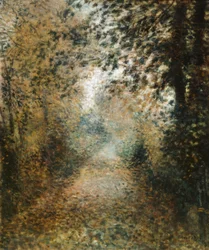 Undervegetation