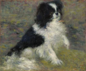 Tama, den japanska hunden, ca 1876