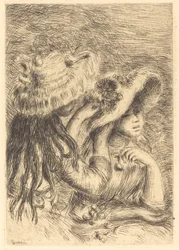 Hattnålen Hattnålen, 1894.