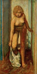Femme se déshabillant (Söker efter avklädd kvinna)