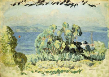 Les Eucalyptus