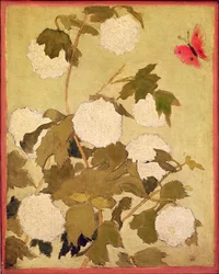 Snöbollar, 1891