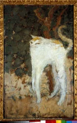 Den vita katten