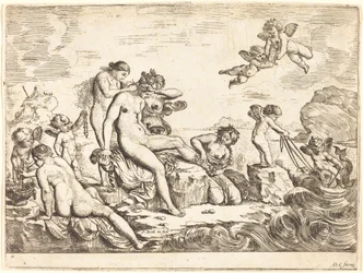Thetis toalett