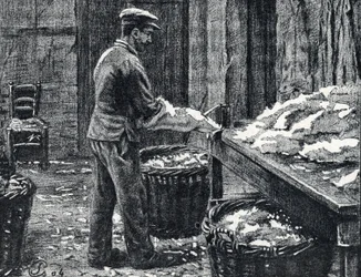 Läder: splittring av kaninskinn för att göra läder Gravyr från "Excursion a travers les metiers" av Pierre Calmette Private Collection