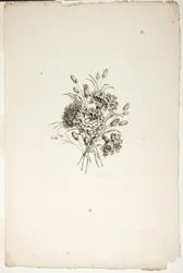 Bukett med nejlikor, från samling av olika buketter av blommor, uppfunnen och ritad av Jean Pillement och graverad av P. C. Canot