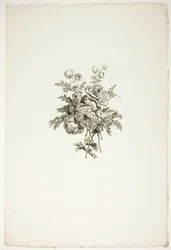 Bukett med pioner, från en samling av olika blombuketter, uppfunnen och ritad av Jean Pillement och graverad av P. C. Canot
