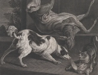 Hundar och stilleben, 1778